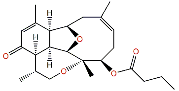 Pachyclavulariaenone A